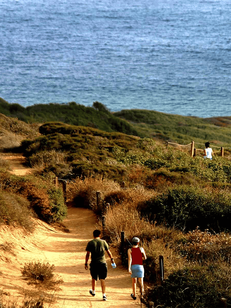 Idyllic coastal hiking trail with ocean view and hikers enjoying outdoor adventure in nature.