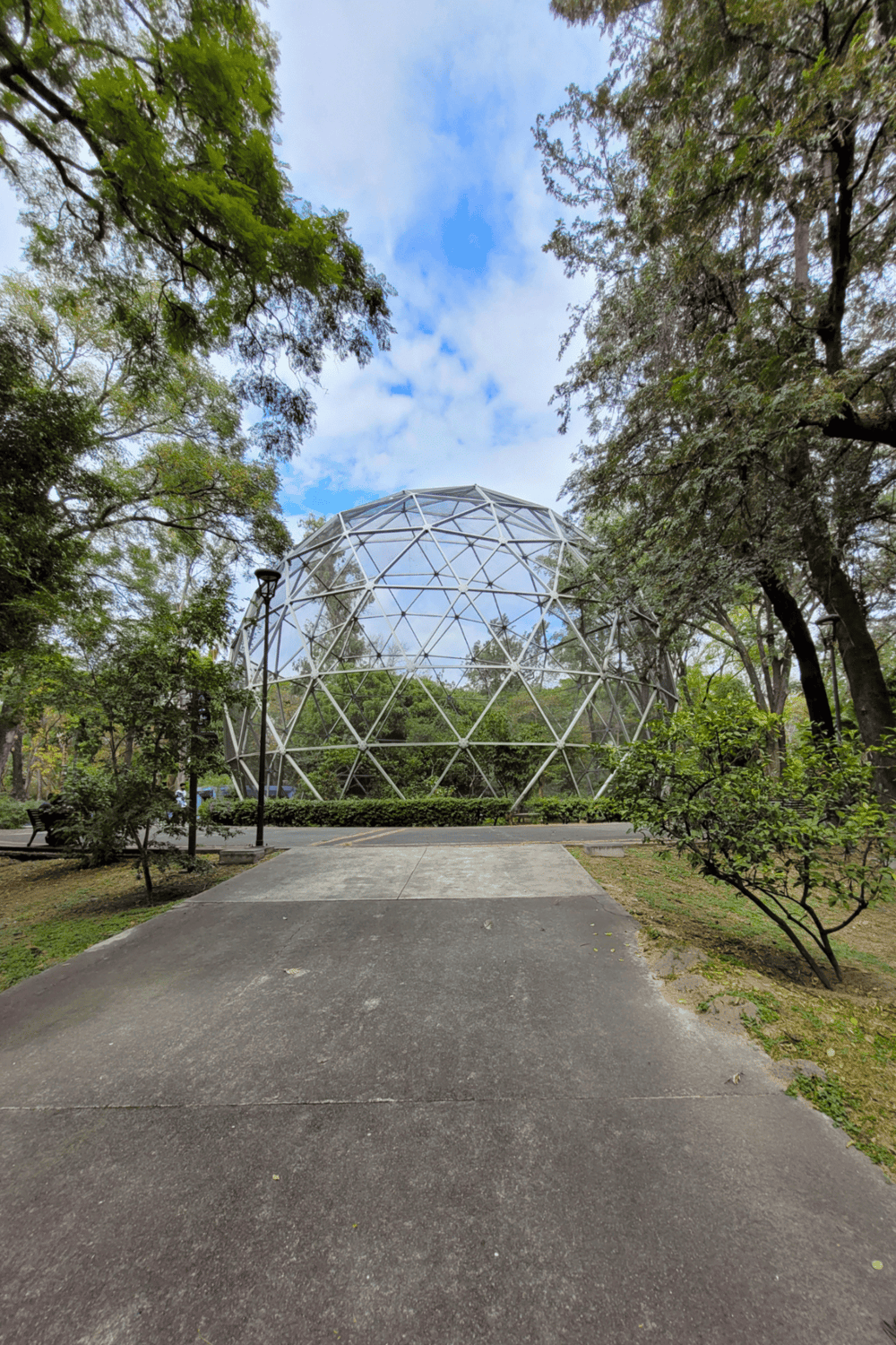 Modern geodesic dome structure surrounded by lush trees in a park setting.