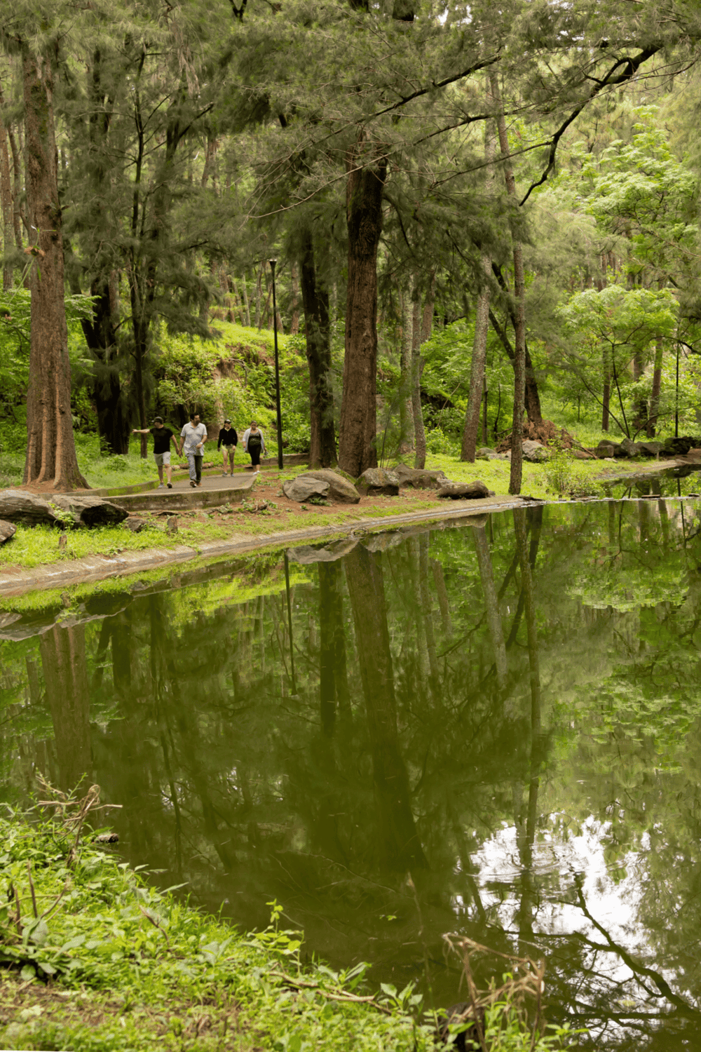 Serene forest trail with visitors walking along a pond, lush green trees, and reflections in the water.