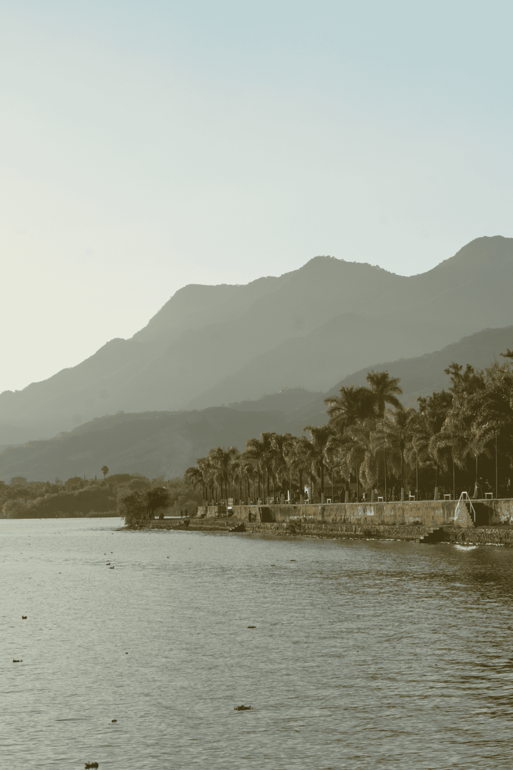 Serene river with mountain backdrop and palm trees, perfect for exploring nature and outdoor activities.