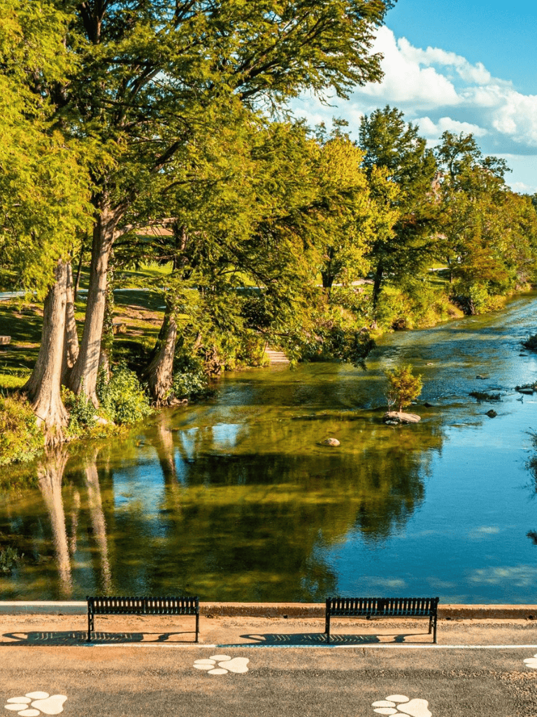 Serene river view with lush green trees and benches for relaxation.