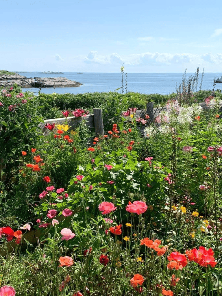 Vibrant coastal garden overlooking the ocean with colorful flowers and scenic seaside view.