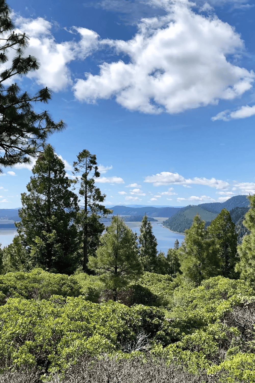 Vast lake view with lush green trees, hills, and a bright blue sky with white clouds.