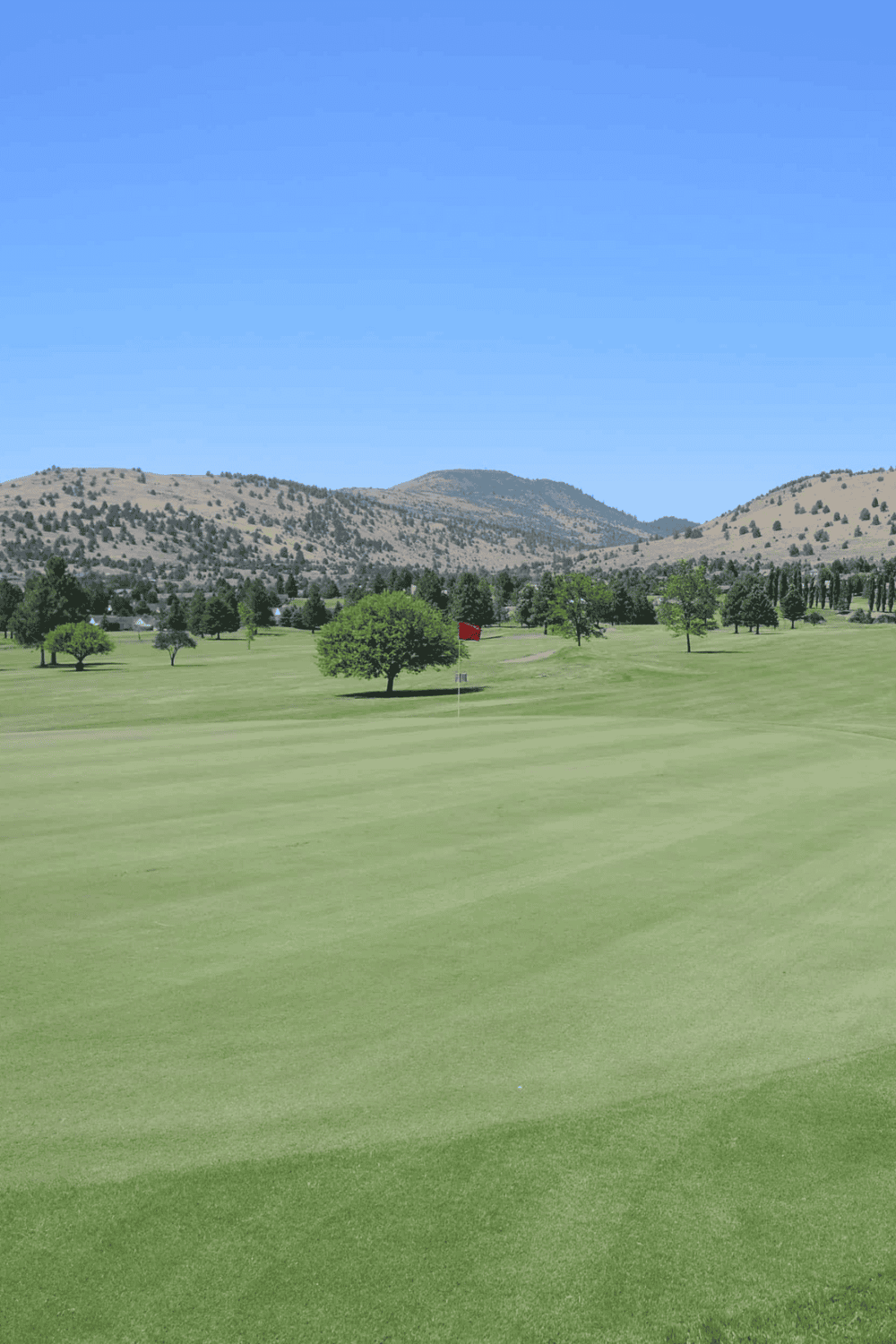 Lush green golf course with scenic mountain backdrop under clear blue sky.