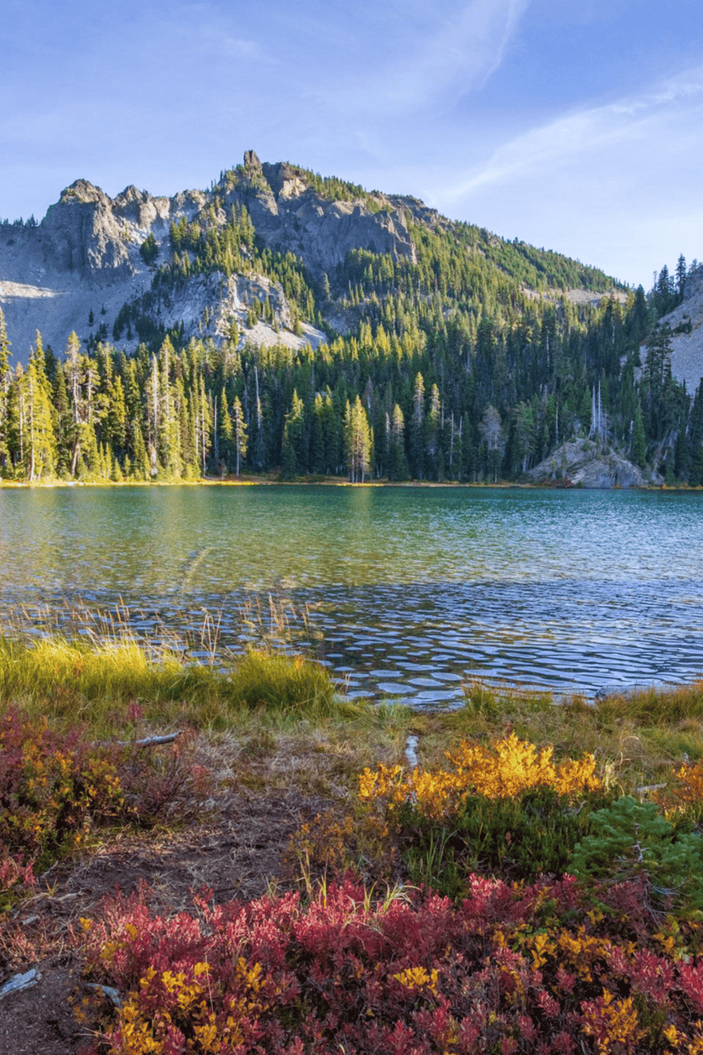 Serene mountain lake surrounded by lush evergreen trees and colorful alpine vegetation.