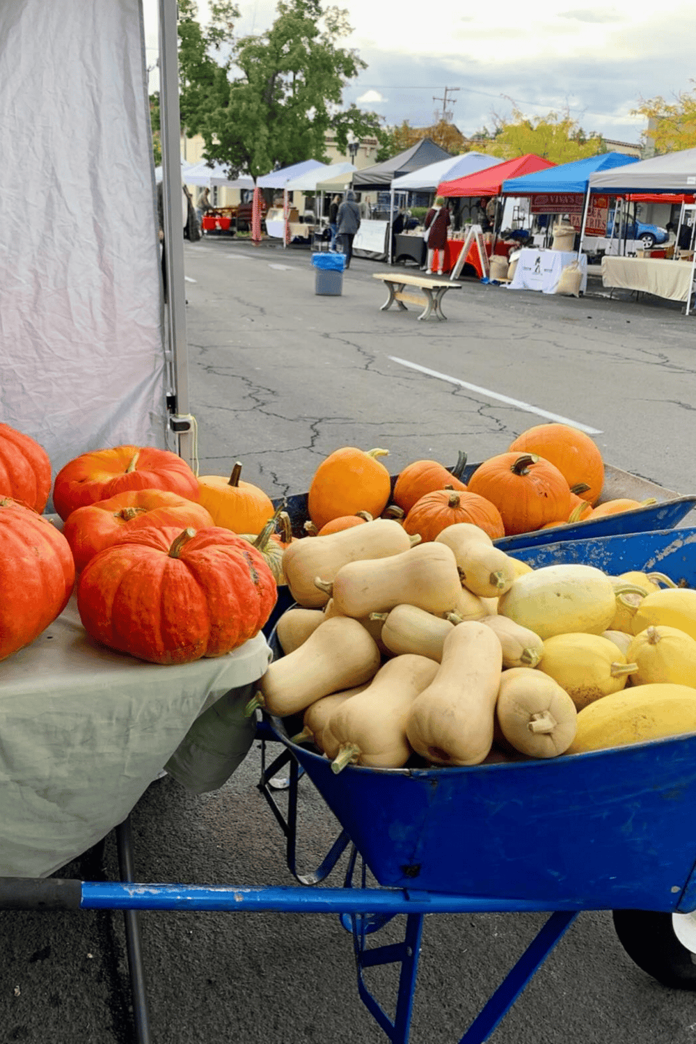 Fresh pumpkins and squash at Farmer's Market, outdoor shopping for seasonal produce, local vendors, fresh food, and autumn harvest.