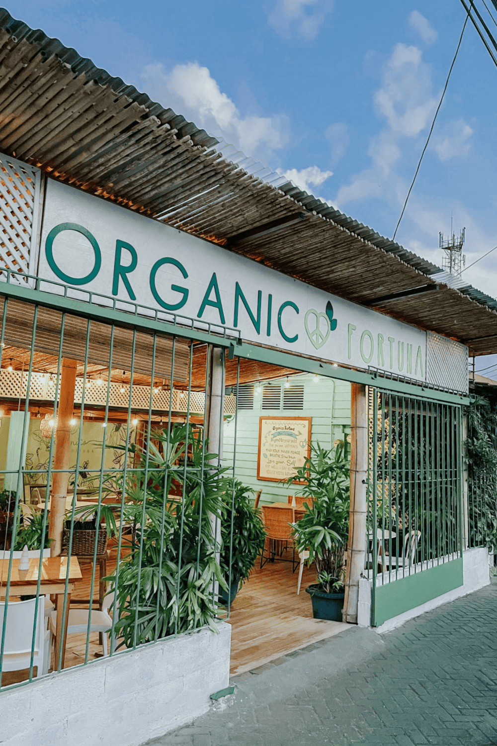 Organic storefront with lush greenery and inviting indoor seating, perfect for healthy dining and organic food.