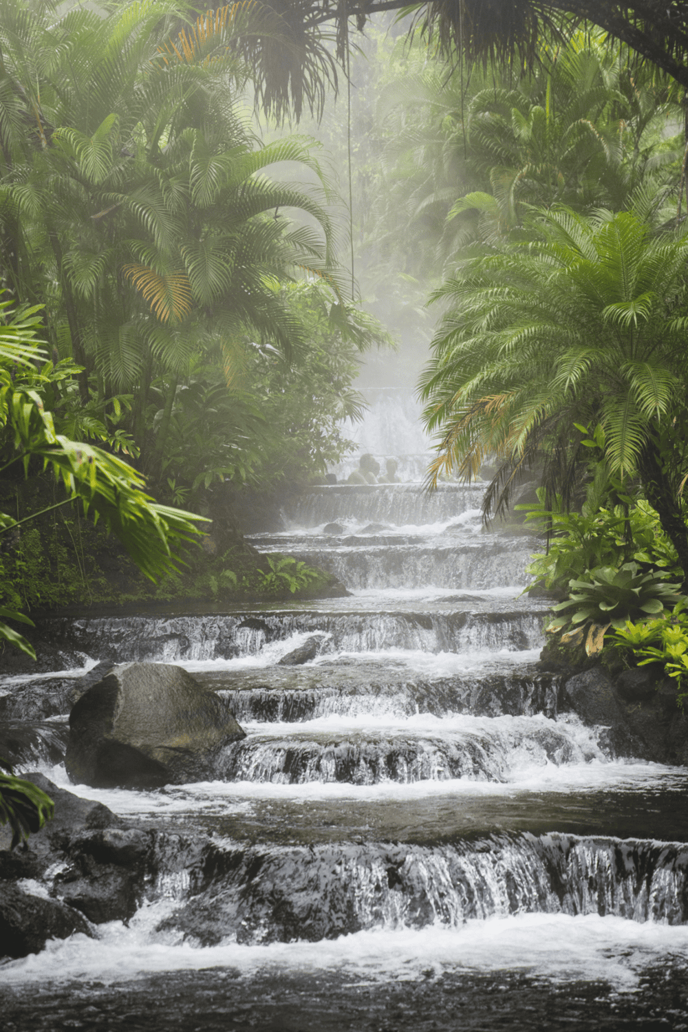 Lush jungle waterfall with streaming water and vibrant green foliage, exploring nature's beauty.