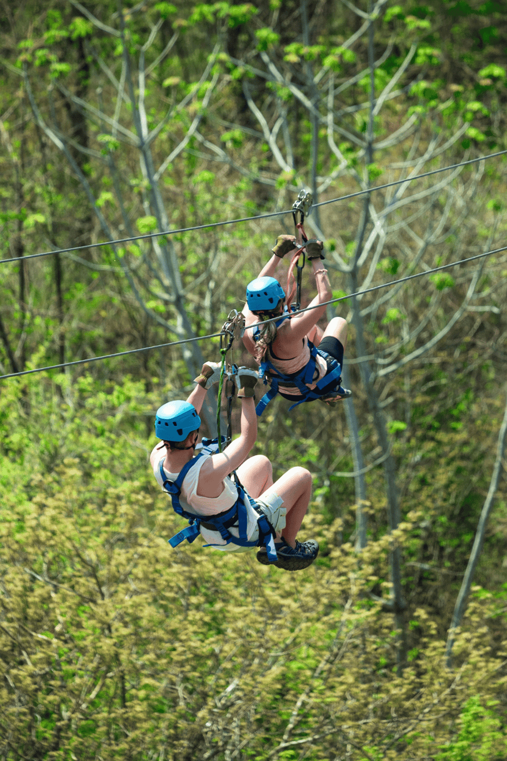 Kids ziplining through lush green forest for adventure and outdoor fun.
