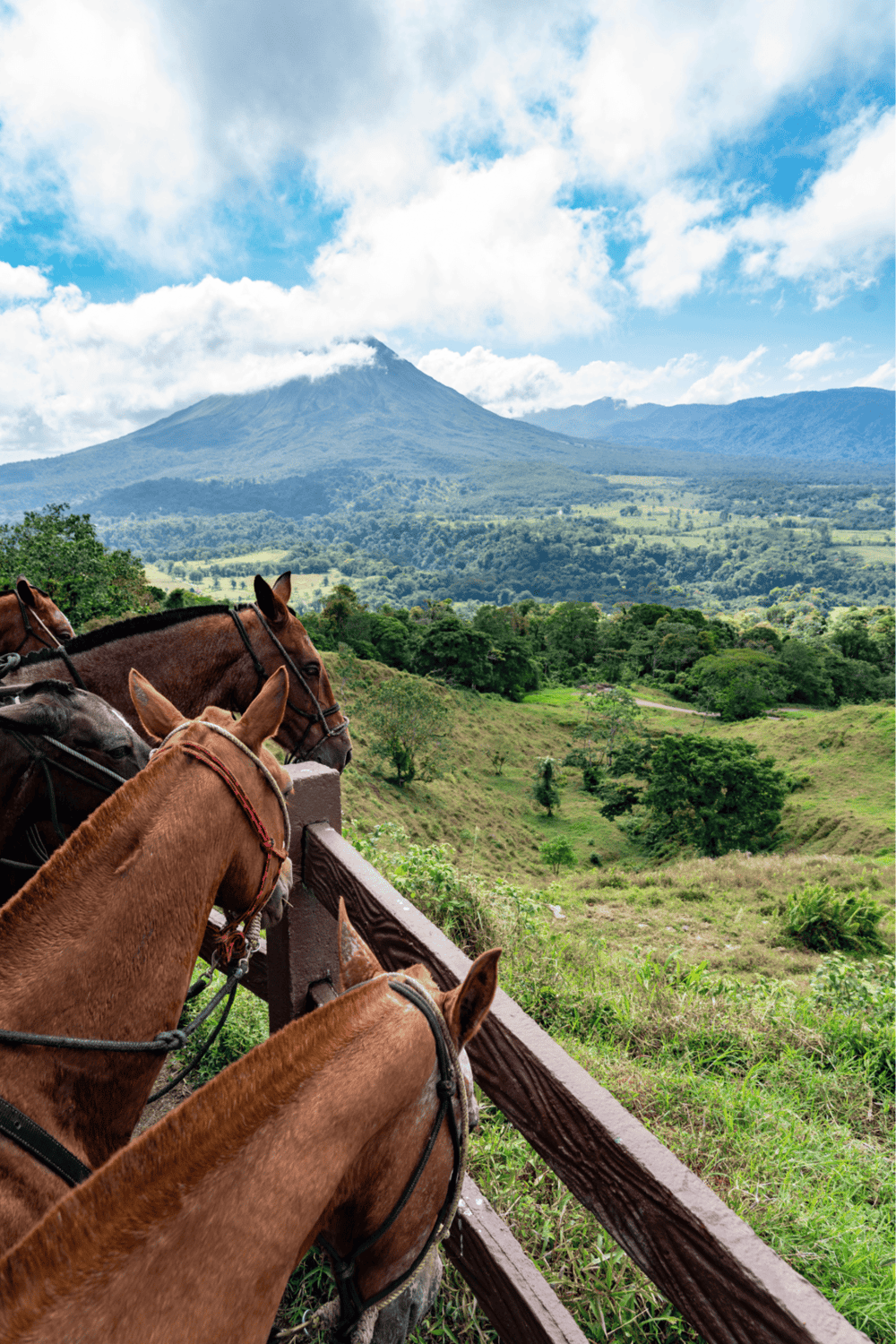 Riding horses overlooking lush green landscape with mountain in background for adventure travel.