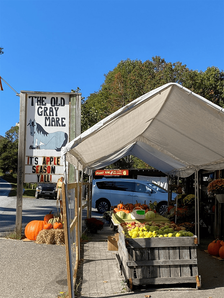 Fresh apples and pumpkins at a fall roadside stand in front of The Old Gray Mare sign, perfect for autumn harvest and seasonal shopping.
