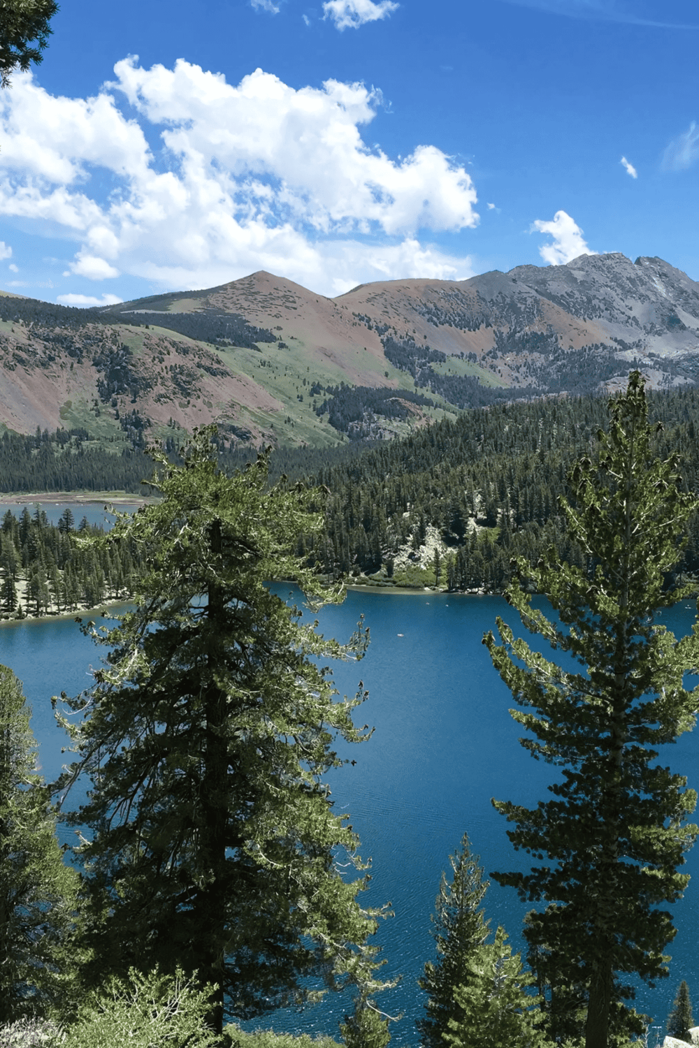 Serene mountain lake surrounded by pine trees and lush forest in a scenic national park.