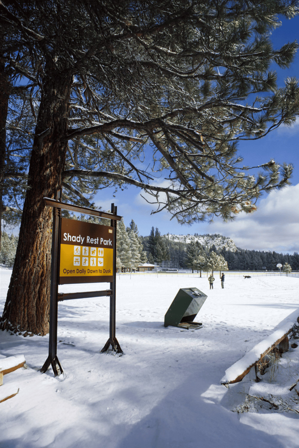 Snowy park at Shady Rest Park with walking trails and picnic areas, perfect for outdoor recreation.