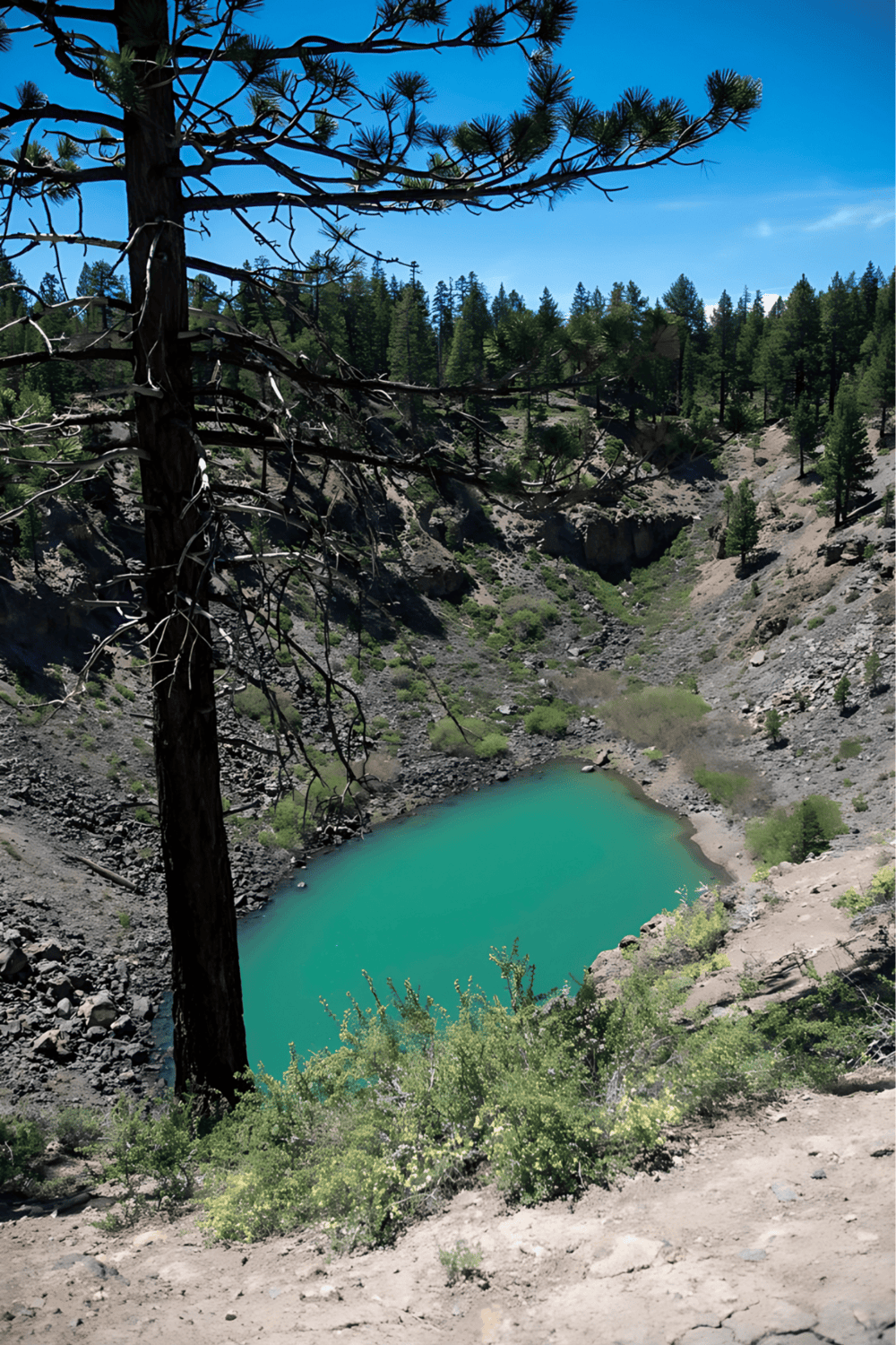 Aerial view of a turquoise mountain lake surrounded by rugged terrain and tall pine trees, ideal for nature exploration.