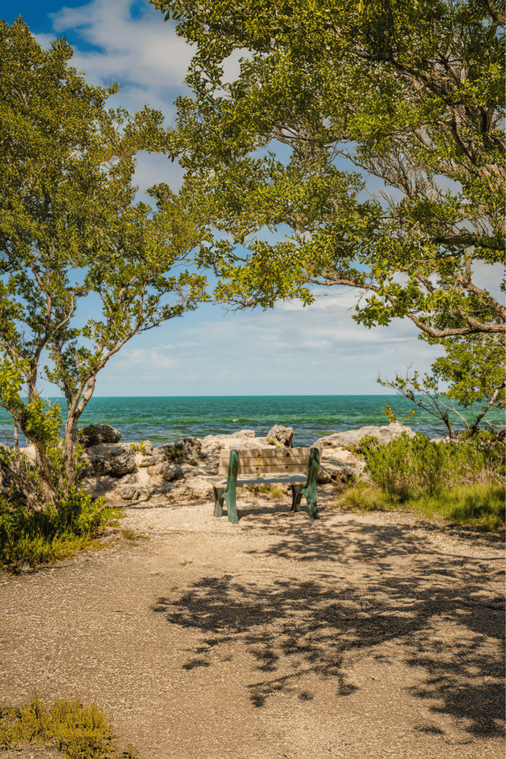 Seaside bench under trees with ocean view, peaceful coastal scenery, travel and relaxation destination.