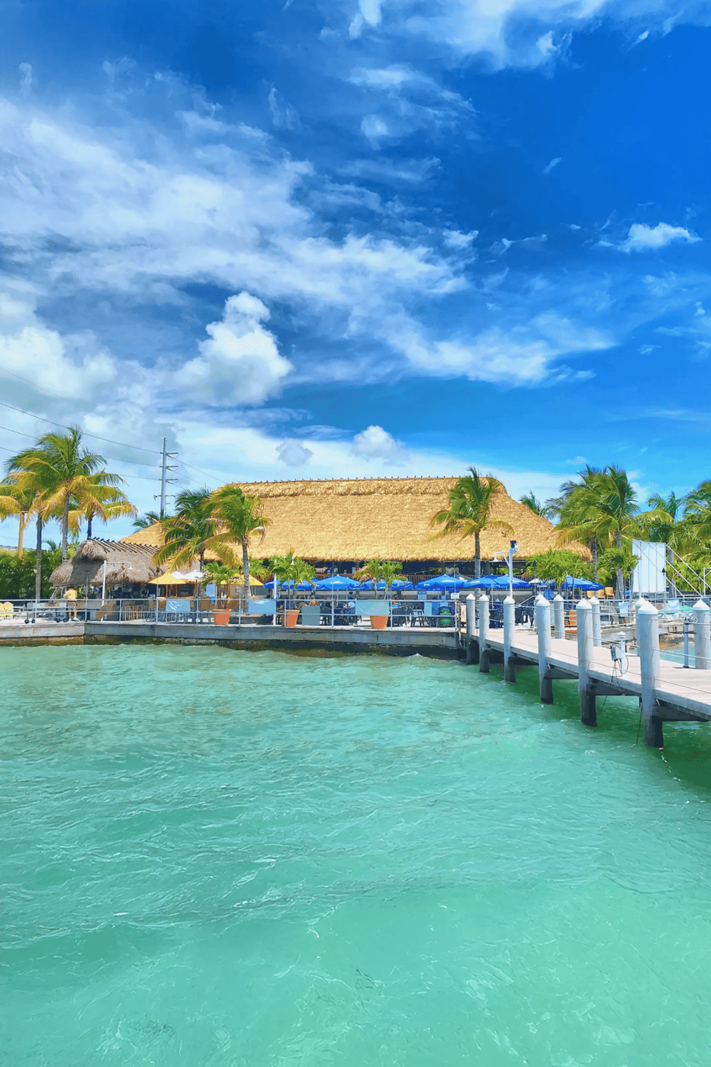 Bright tropical marina with palm trees, thatched roof restaurant, and clear turquoise water, ideal for vacation and relaxation.