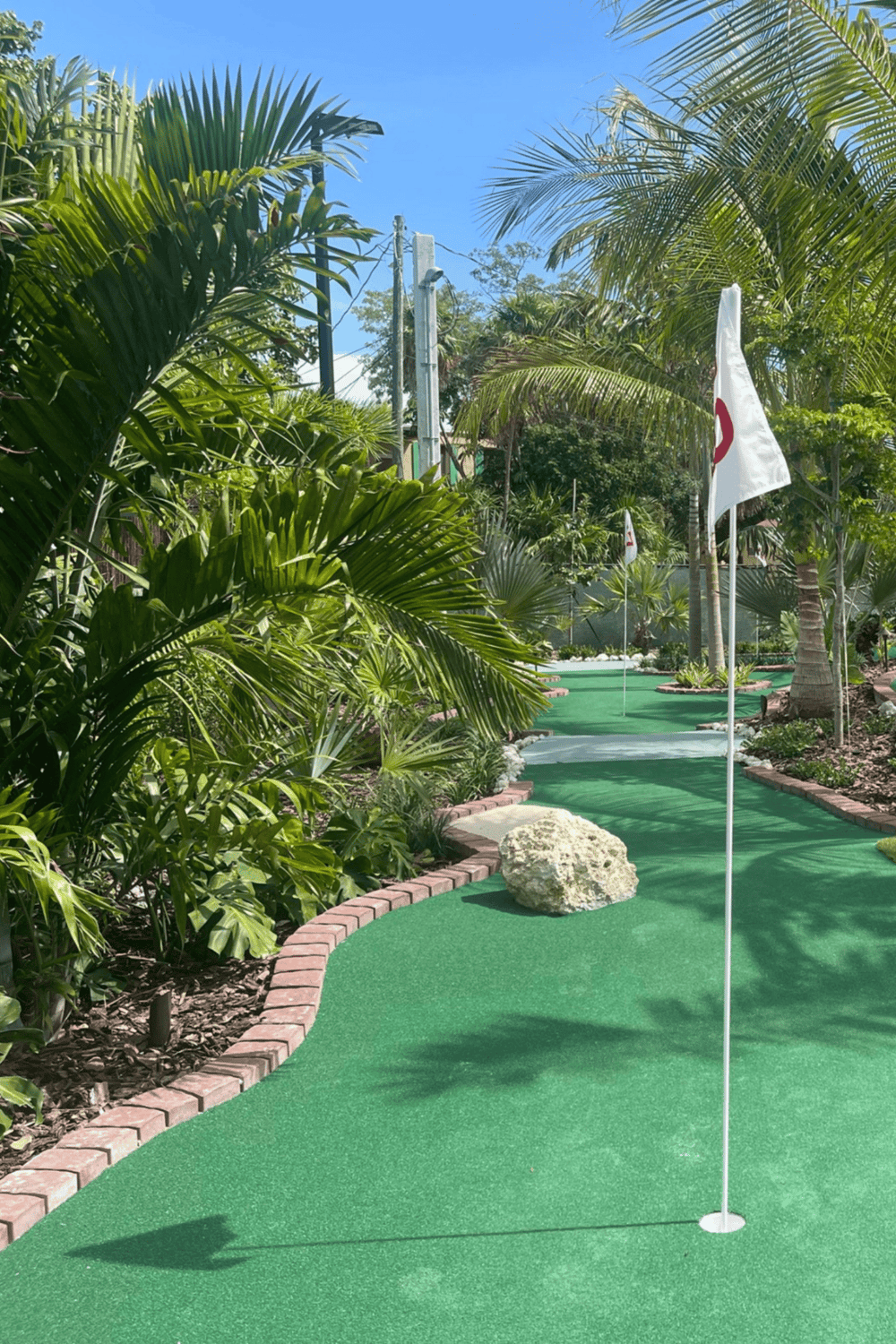 Lush tropical mini golf course with palm trees and flags in bright outdoor setting.