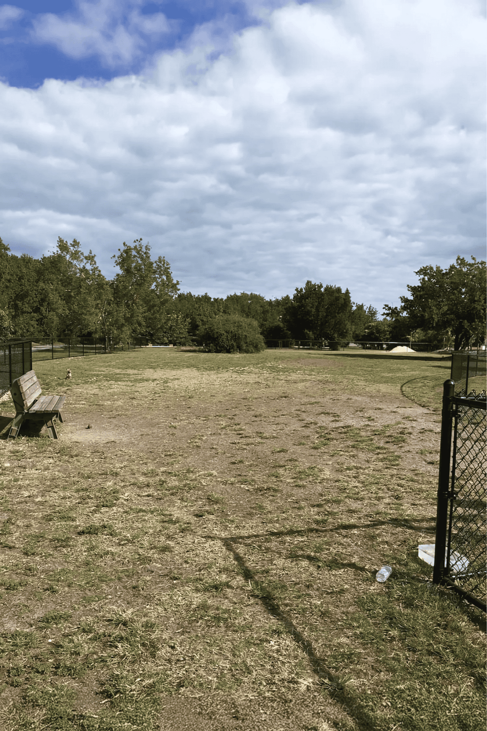 Wide open park with benches, trees, and cloudy sky, ideal for outdoor activities and relaxation.