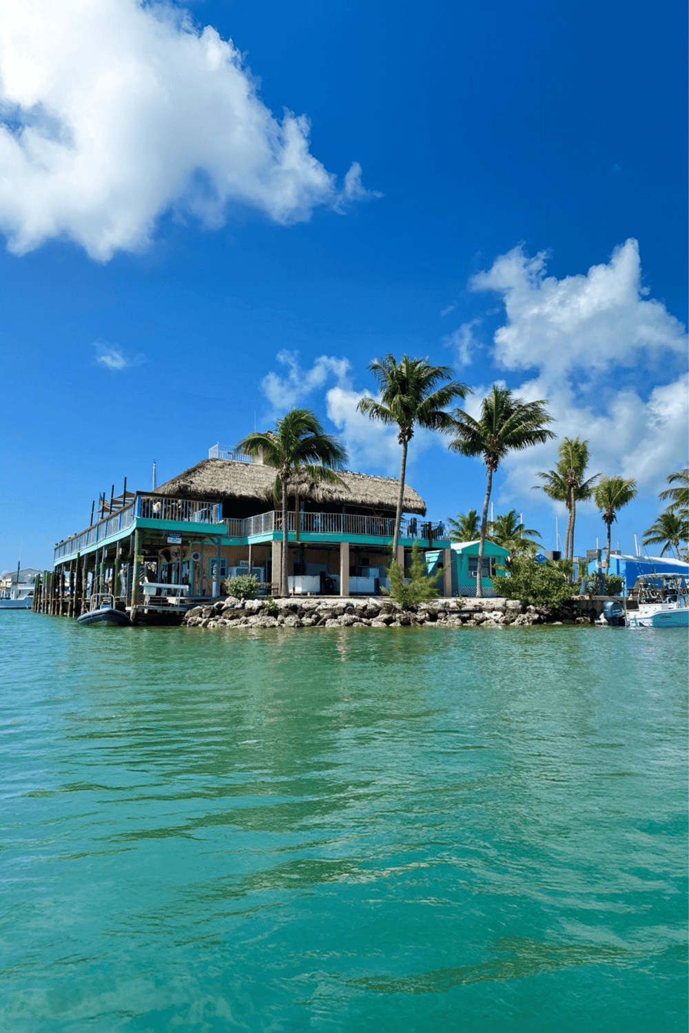 Luxurious waterfront island villa with palm trees and tropical scenery, perfect for travel and vacation plans.