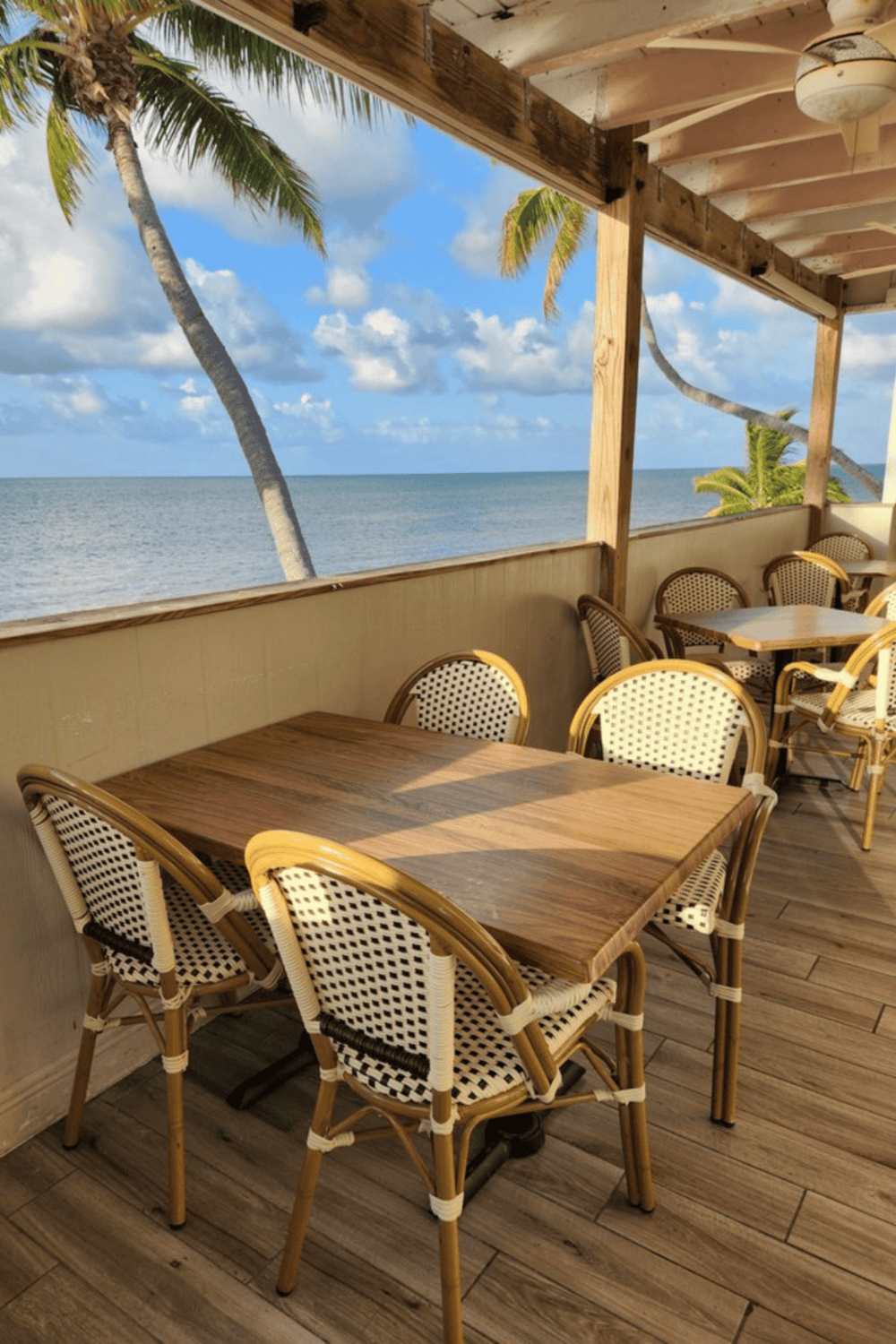 Relaxing beachfront dining area with ocean view and tropical palm trees.