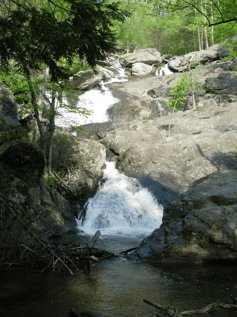 Serene mountain stream with cascading waterfalls in lush green forest landscape.