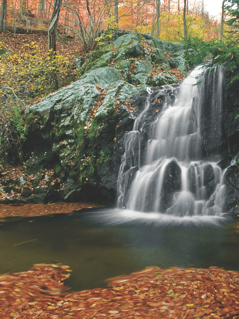 Serene waterfall in autumn forest with colorful leaves and moss-covered rocks.