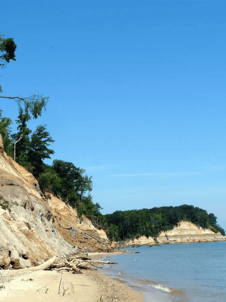 Stunning Alabama Gulf Coast beach with cliffs, trees, and clear blue water.