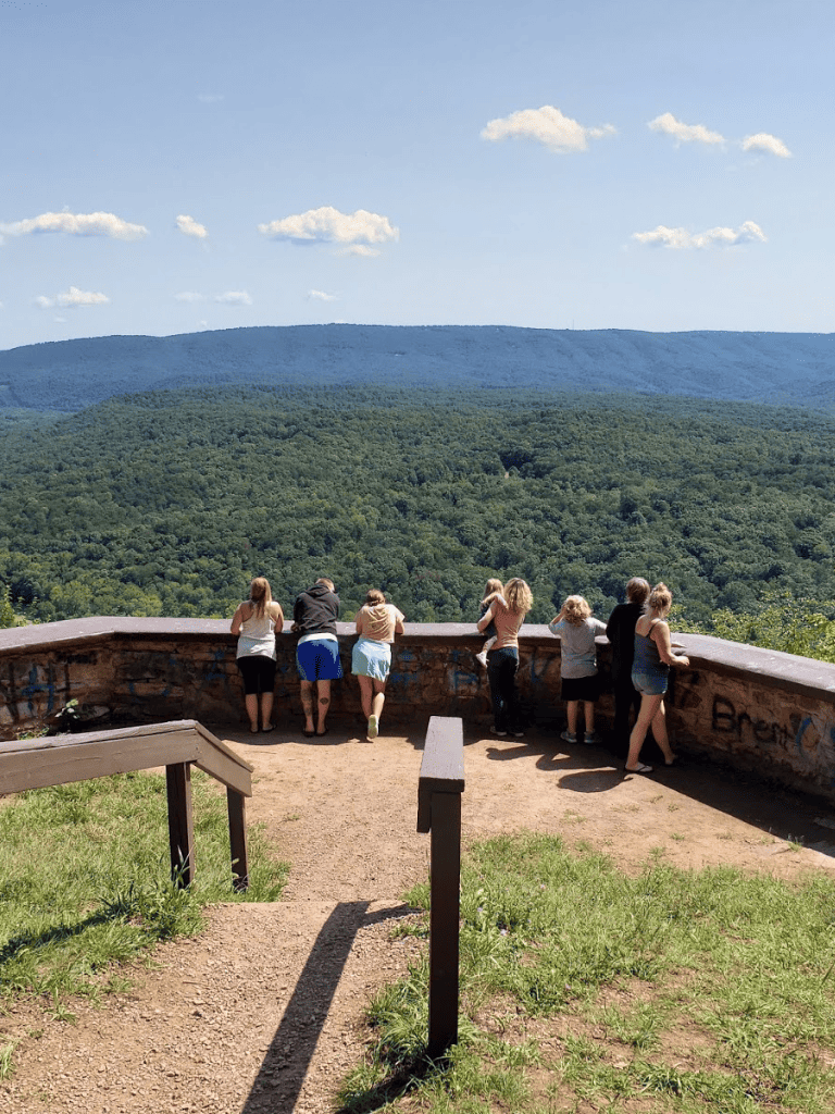 Hiking viewpoint overlooking lush green forest and mountain range in clear weather.