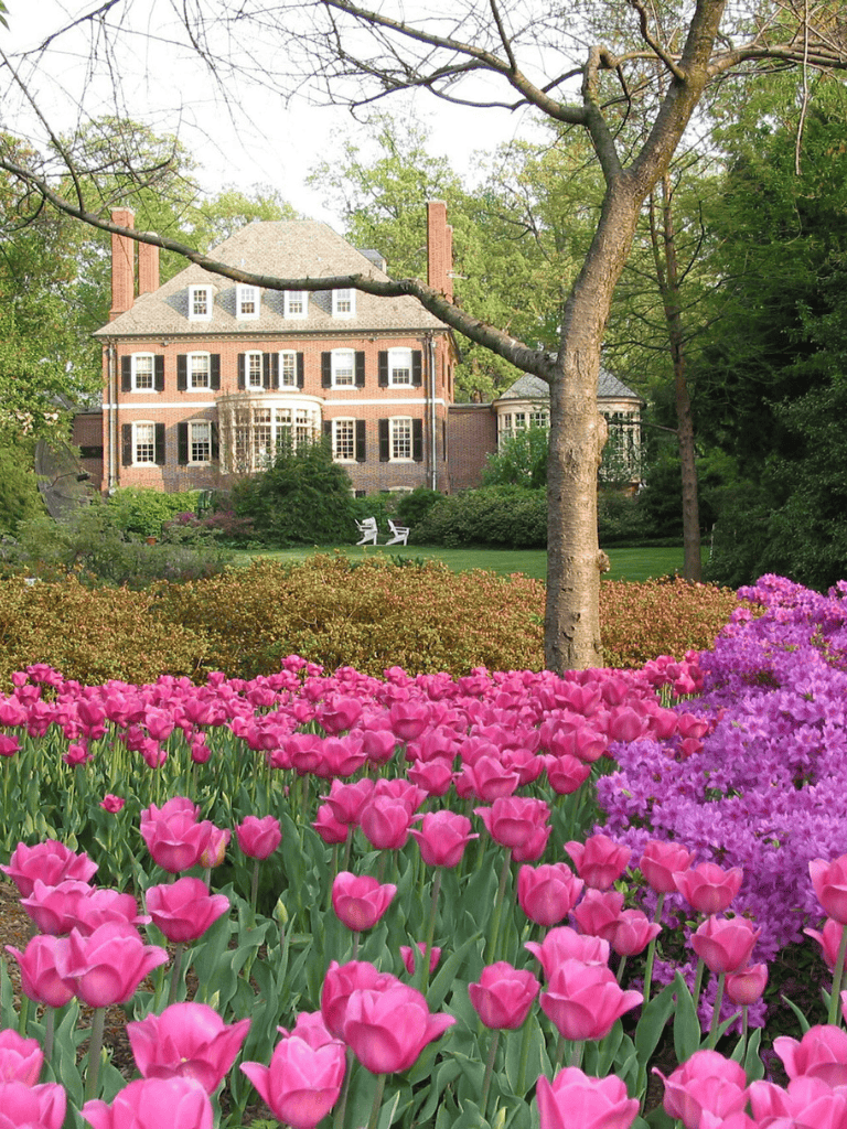Colorful spring garden in front of a historic brick mansion, blooming tulips and lush greenery.