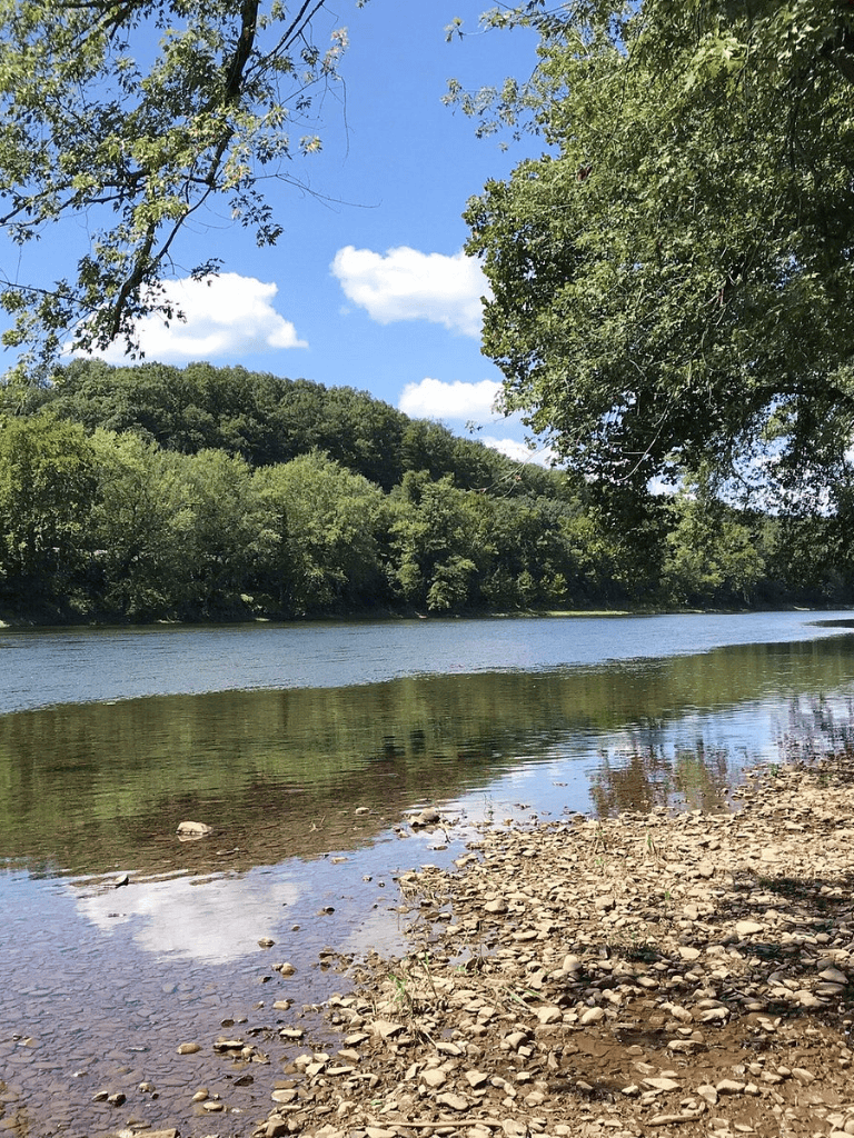 Serene river with lush green trees and blue sky, ideal for outdoor recreation and nature exploration.