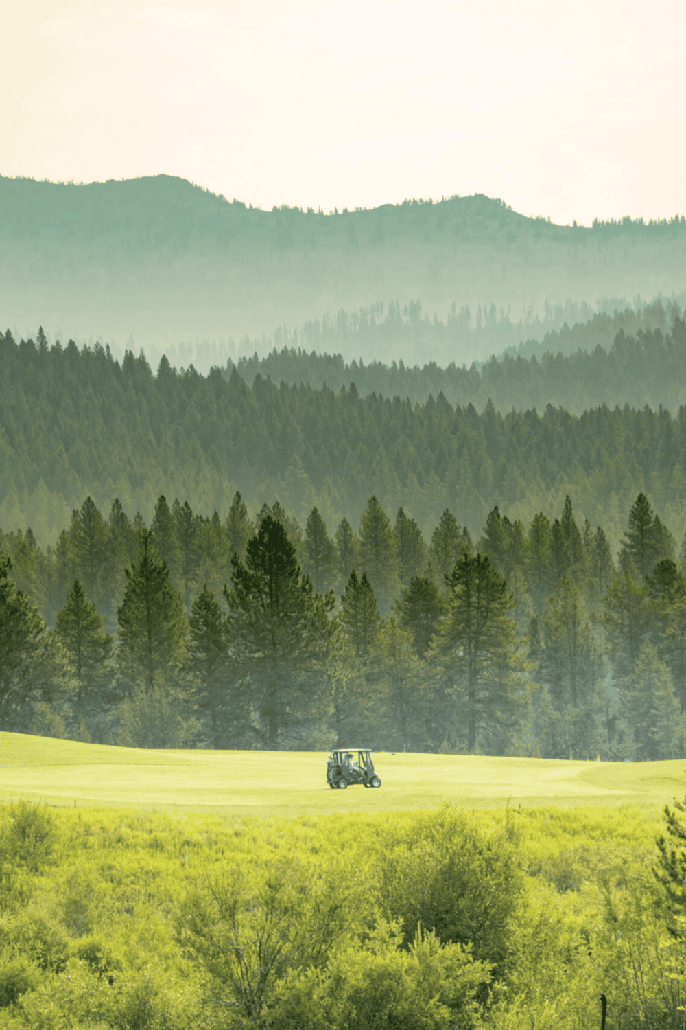 Sweeping forest landscape with a golf cart on the fairway, lush greenery and mountain backdrop.