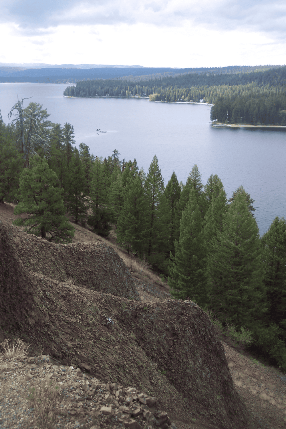 Serene lake view with pine trees and rugged shoreline, ideal for nature exploration and outdoor adventures.