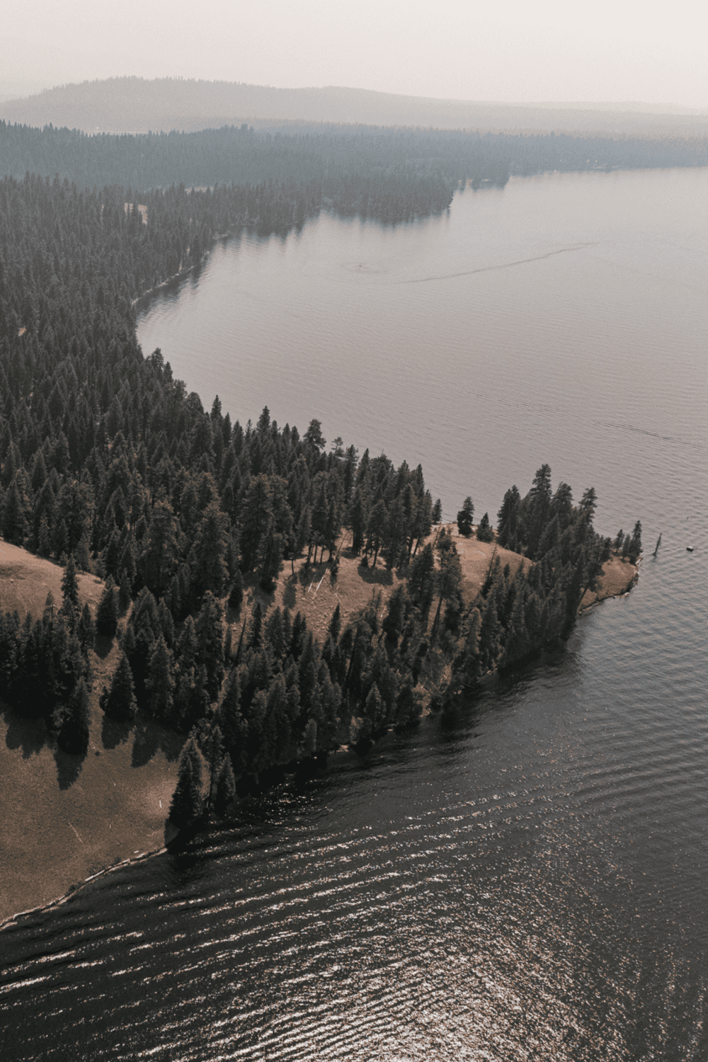 Aerial view of forested shoreline and calm lake with mountain backdrop, perfect for outdoor adventures and nature exploration.