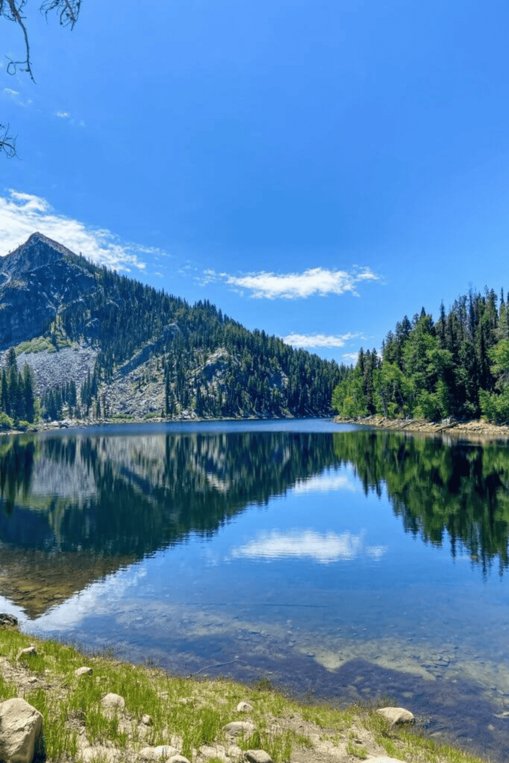 Serene mountain lake with lush forest and clear blue sky, perfect for nature and outdoor adventure seekers.