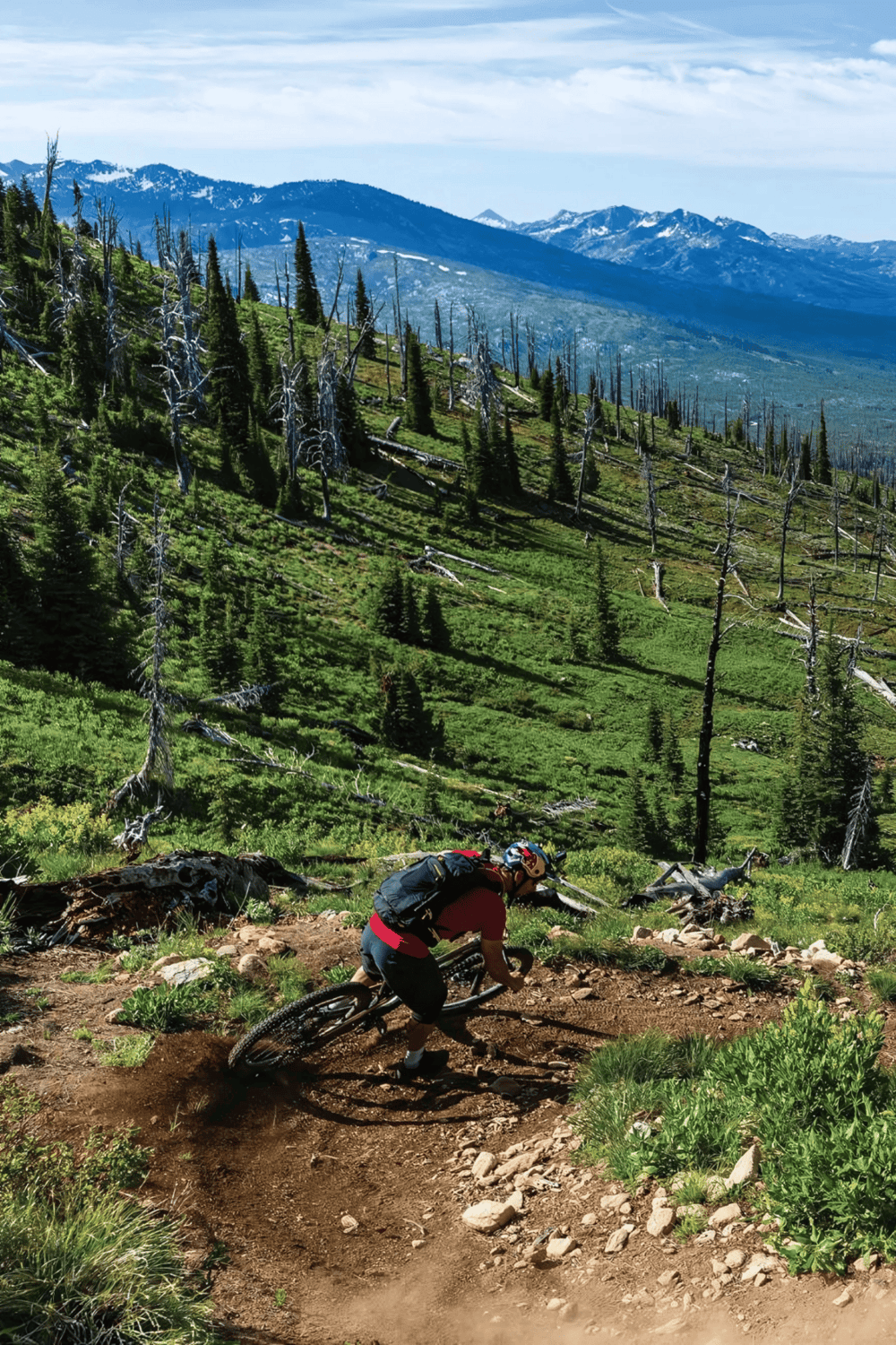 Biking down a mountain trail in lush green forest with snowy peaks in the background.