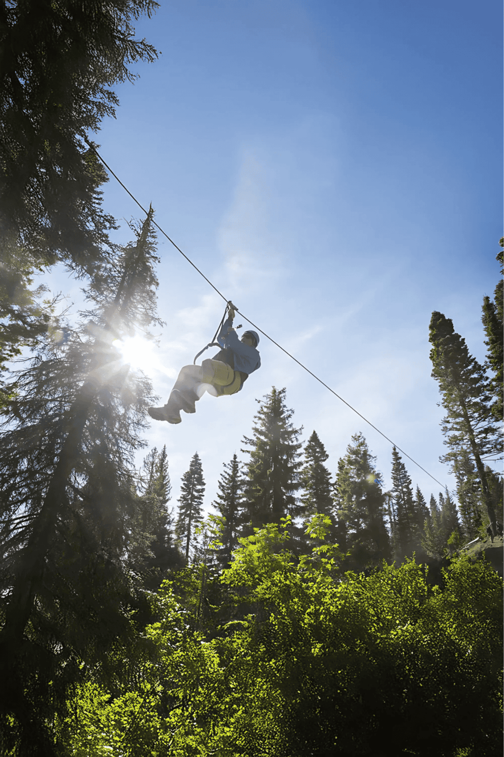 Apex Adventure Zip Line Experience in Nature's Beauty, Forest Tour.