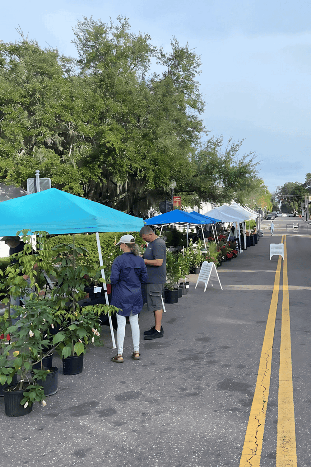 Vendors at an outdoor farmers market with tents and plants on a sunny day.