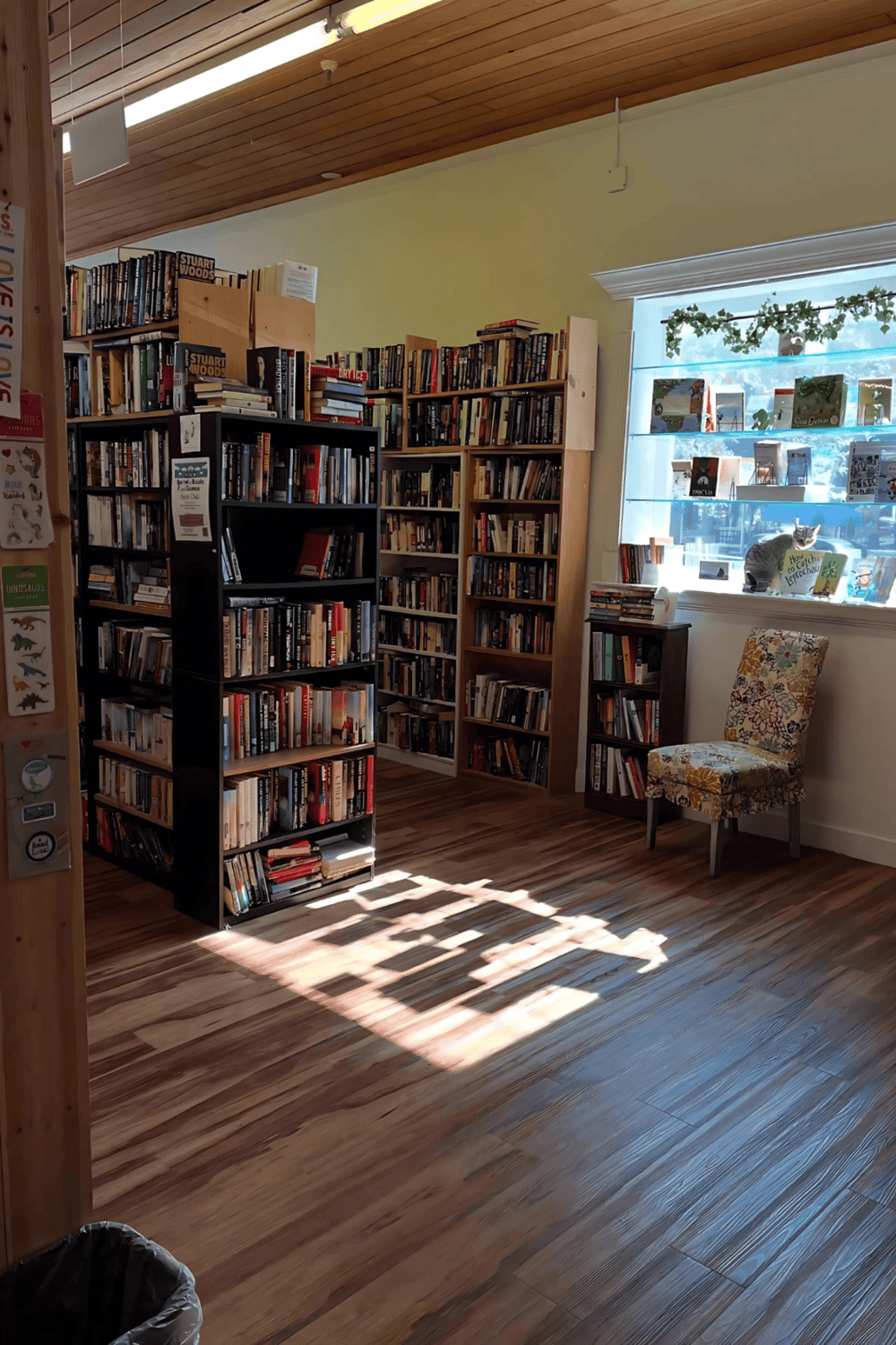 Cozy bookstore with wooden shelves, sunlight, and a floral chair, perfect for book lovers seeking directions.