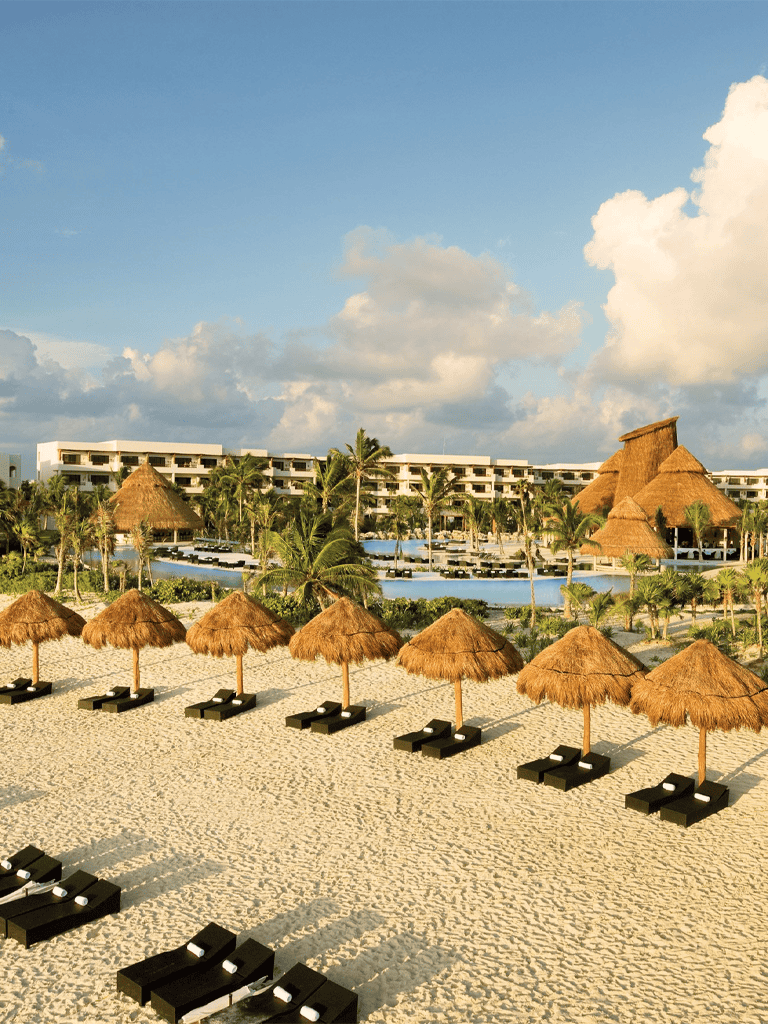 Relaxing beach resort with palm trees and thatched umbrellas, perfect for vacation.