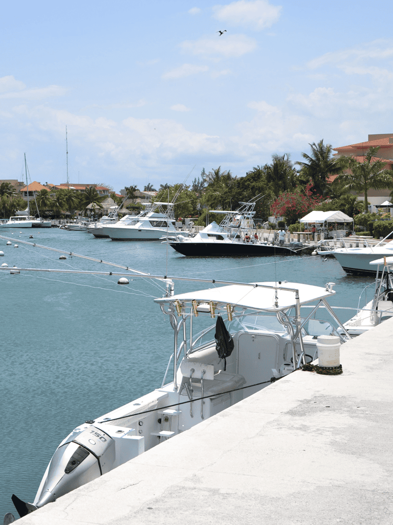 Boats docked at a marina with palm trees and waterfront buildings in the background.