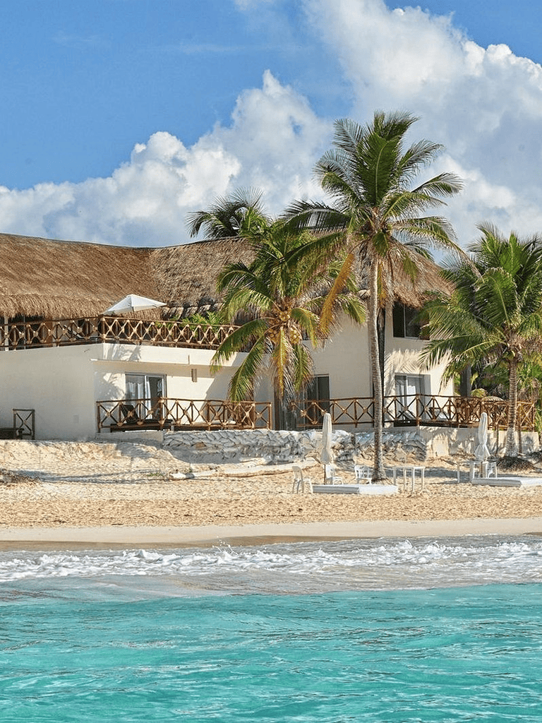 Beachfront tropical getaway with palm trees and resort accommodations.
