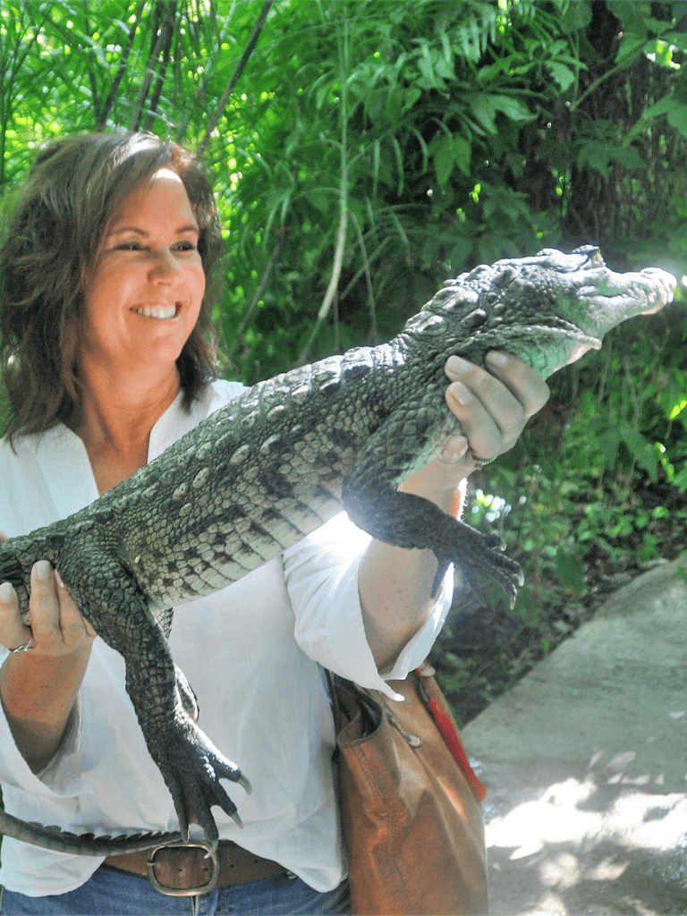 Crocodile hold at wildlife safari, jungle adventure outdoor activity, QuestForDirections.