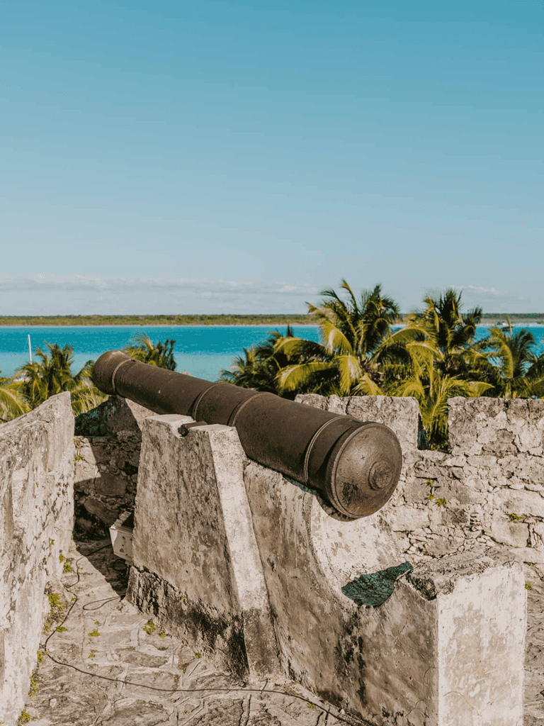 Ancient cannon on a historic fortress overlooking tropical palm trees and ocean view.
