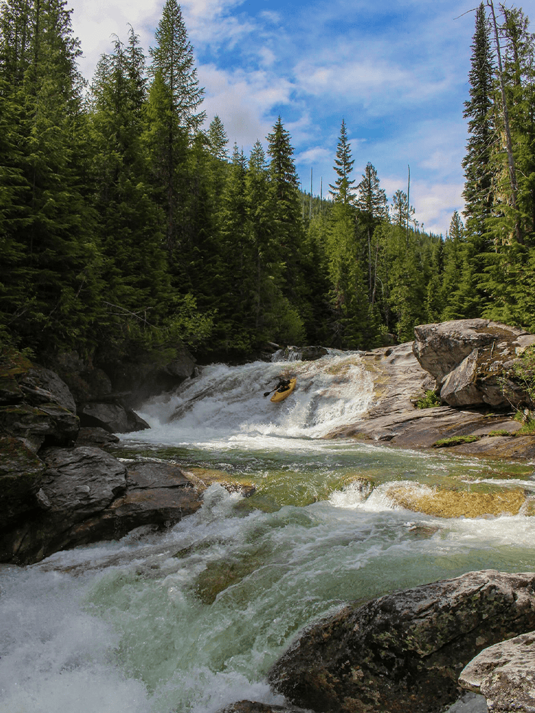 Vibrant river rafting adventure in lush forest scenery with rushing waters and towering trees.