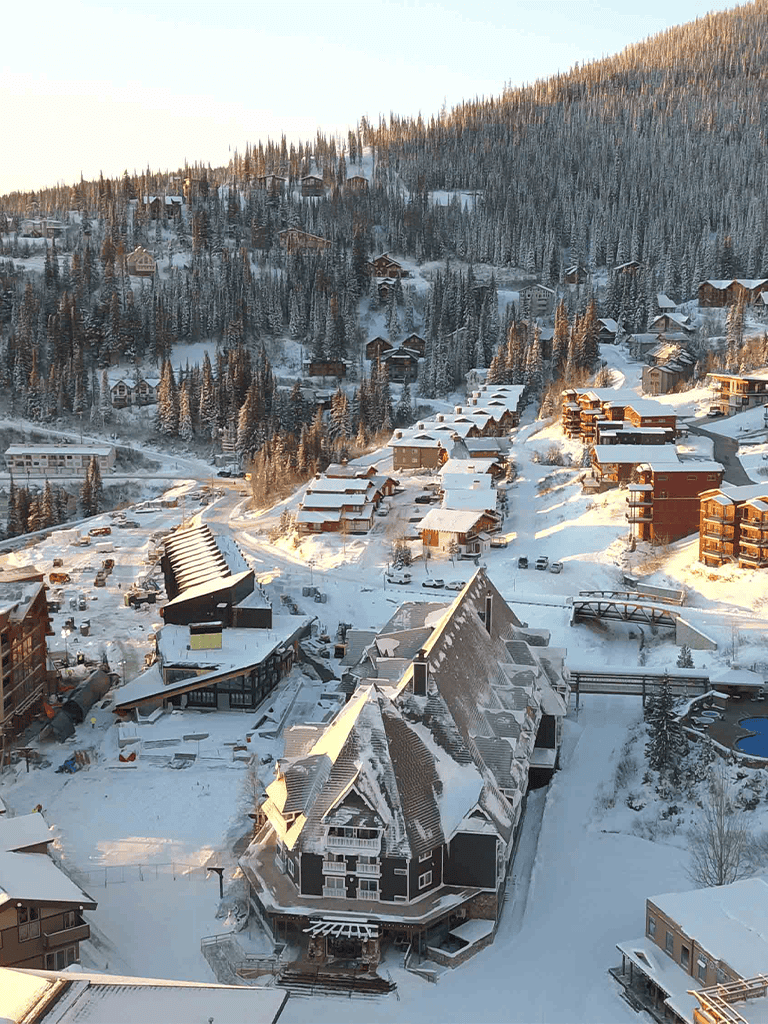 Snowy mountain resort with chalets and dense pine forest, winter vacation destination.