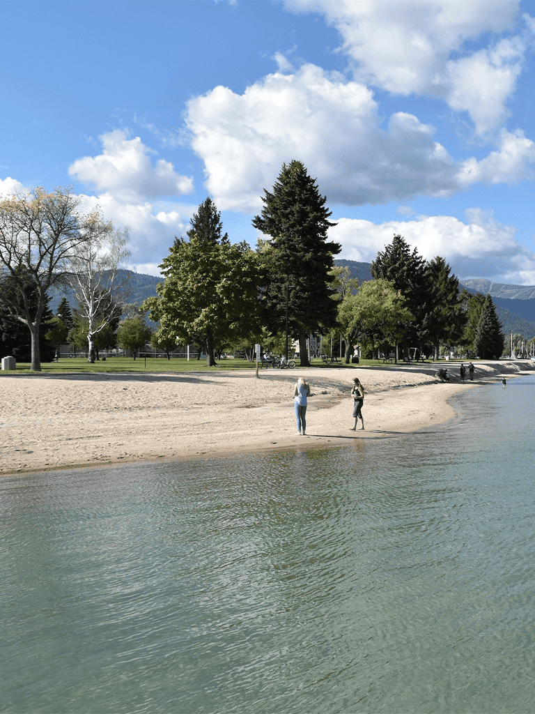 Serene lakeside park with trees, sandy beach, and mountain views, perfect for outdoor recreation and relaxation.