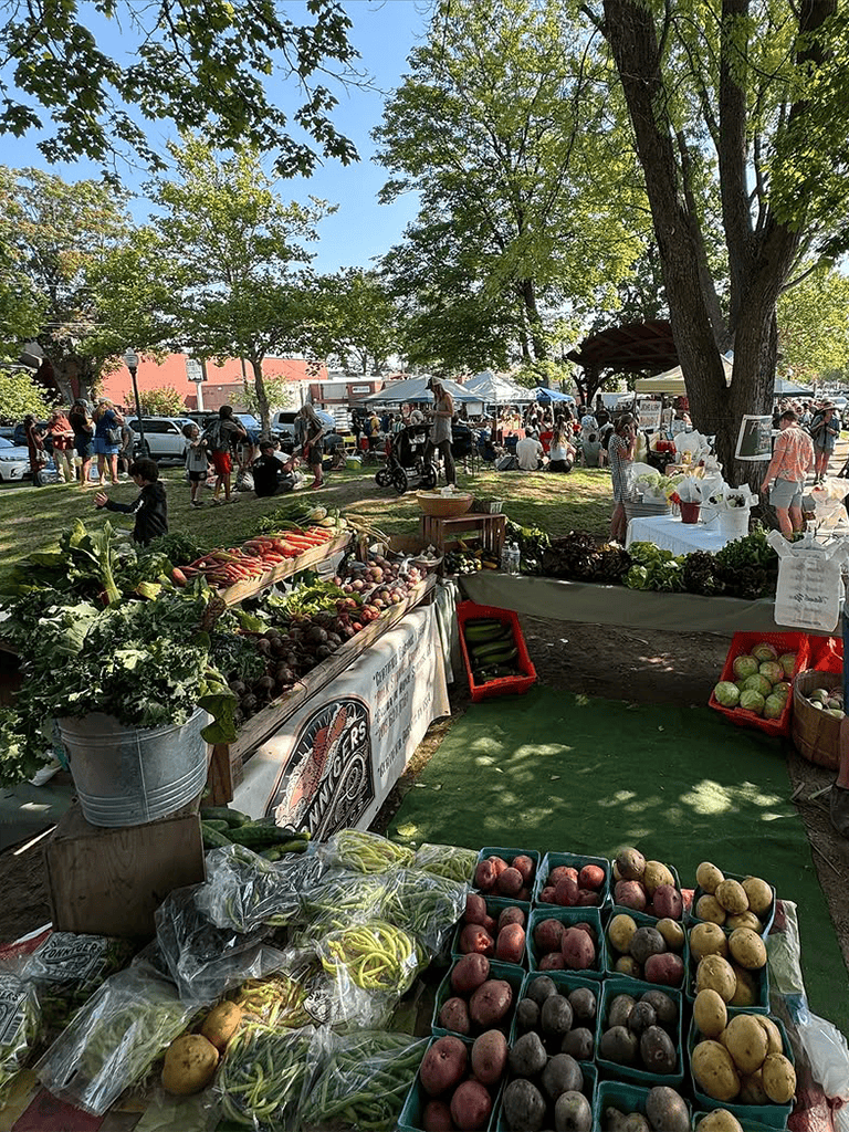 Fresh farm produce at outdoor farmers market - vegetables, fruits, and local vendors.