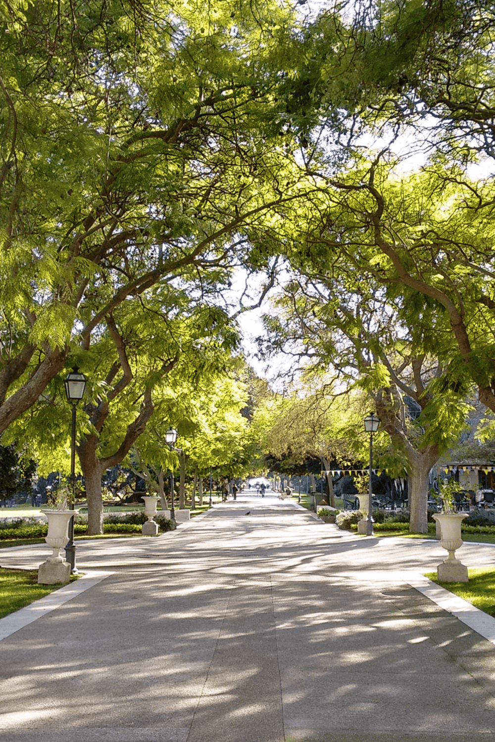 Lush green park pathway with trees, benches, and street lamps, ideal for outdoor navigation and directions.