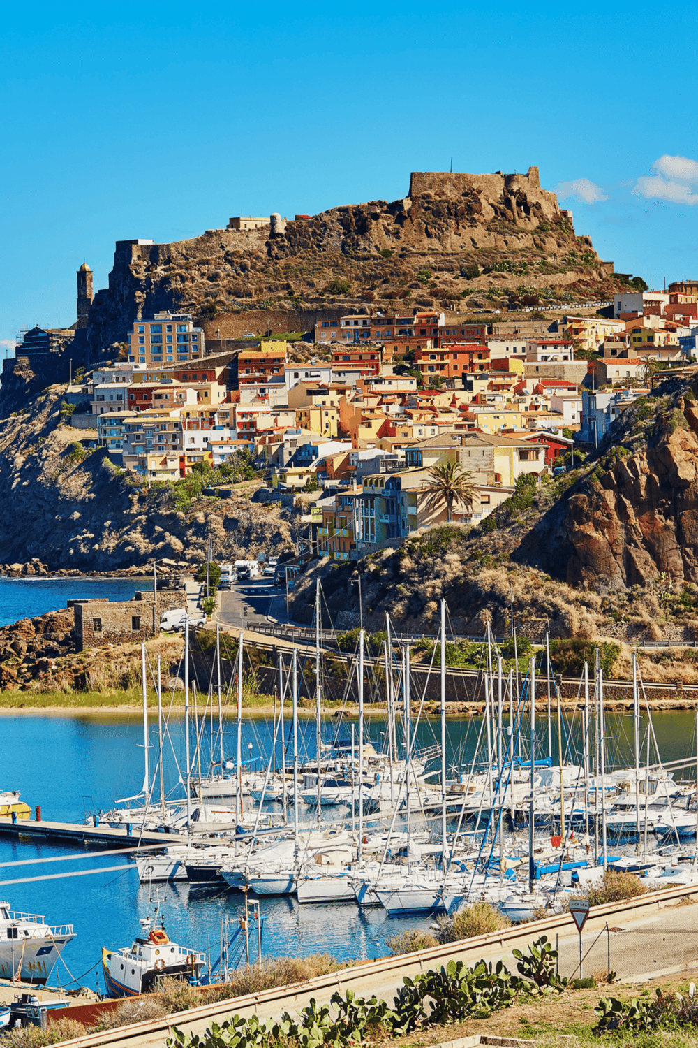 Colorful coastal hillside town with marina and historic castle in Portugal.