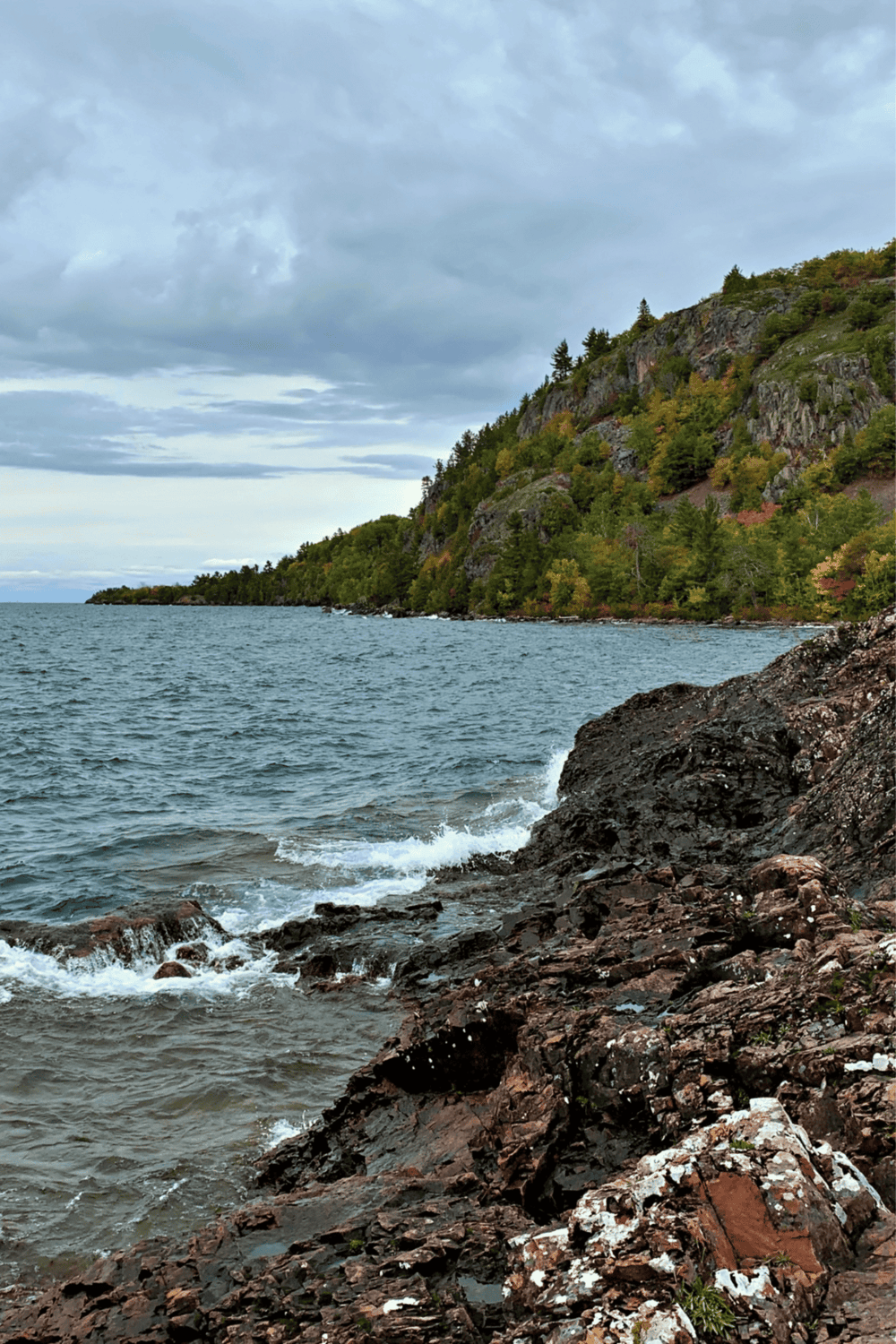 Algae-covered rocky shoreline with lush green forested cliffs and cloudy sky, scenic coastal landscape for travel and adventure.